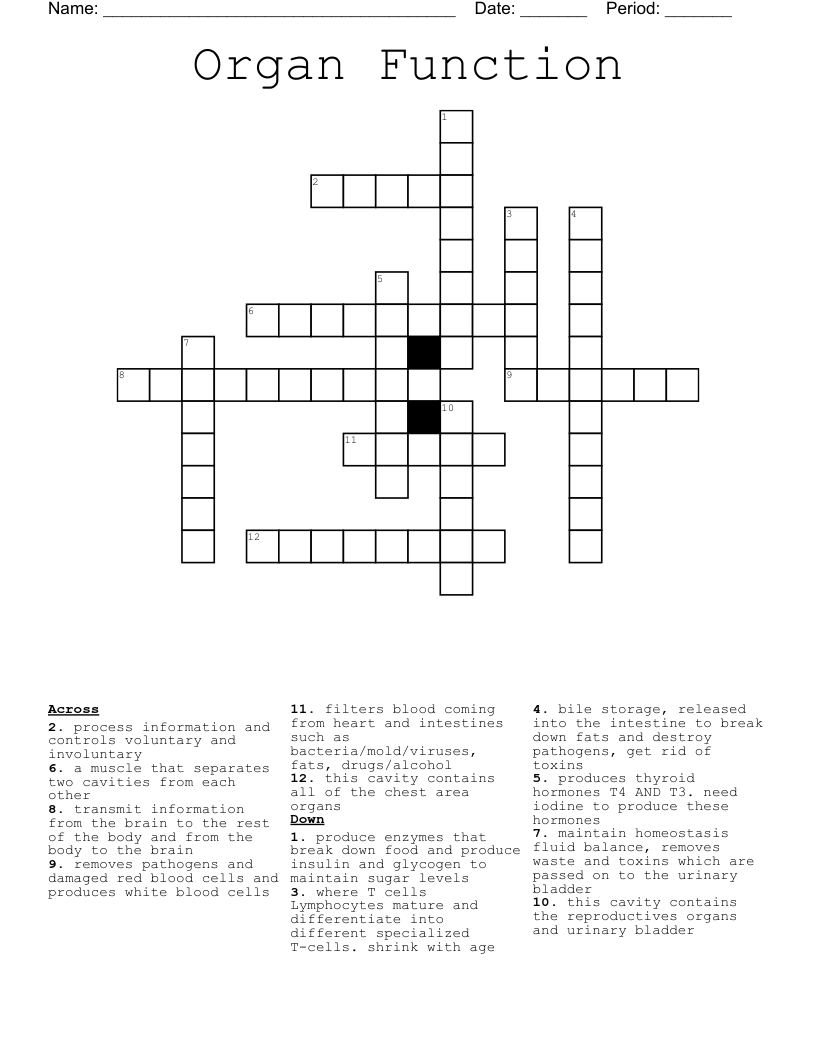 Organ Function  Crossword