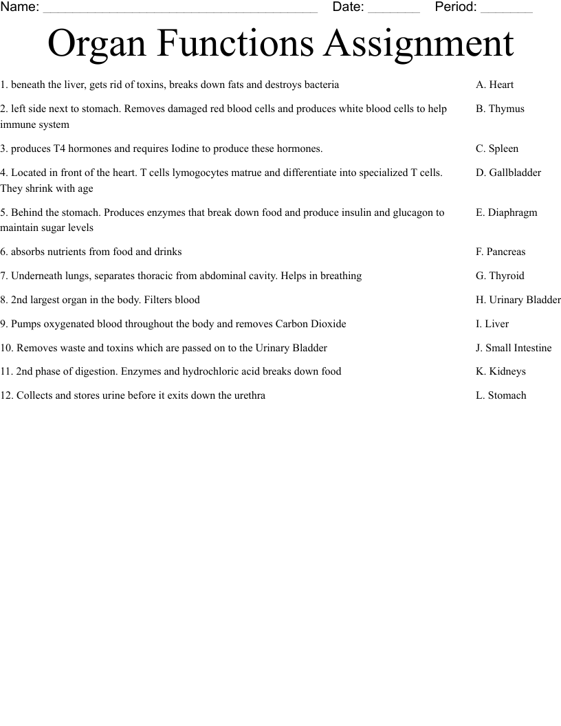 Organ Functions Assignment Worksheet