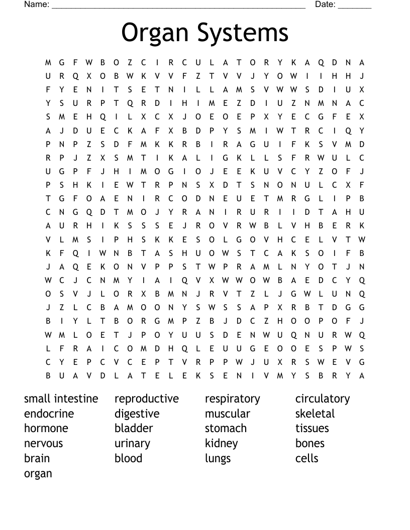 Organ Systems Word Search