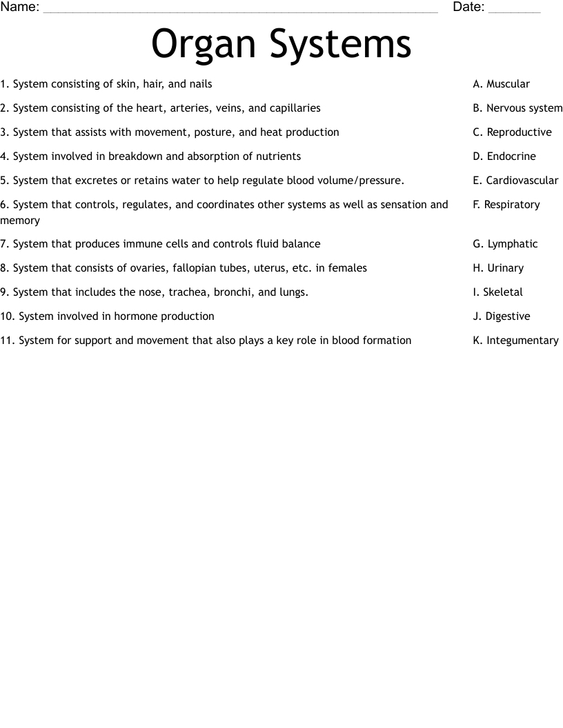 Organ Systems