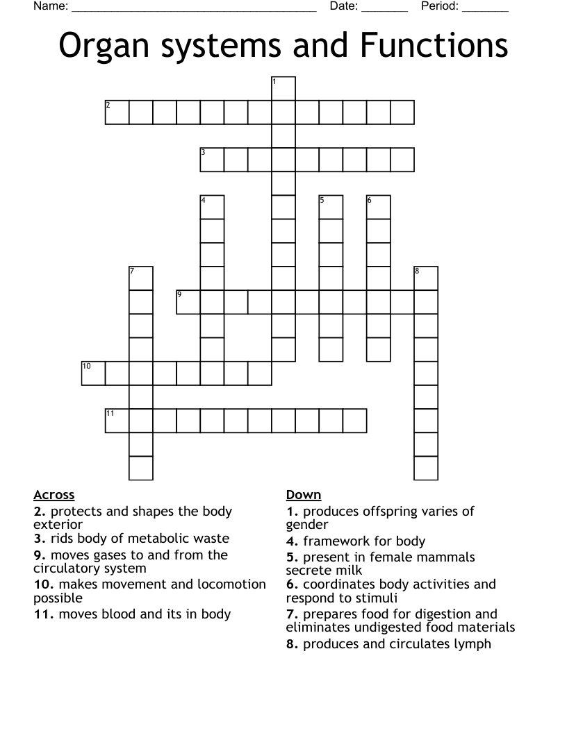 Organ systems and Functions Crossword