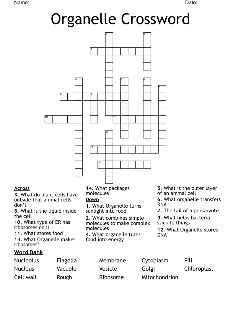 Organelle Crossword