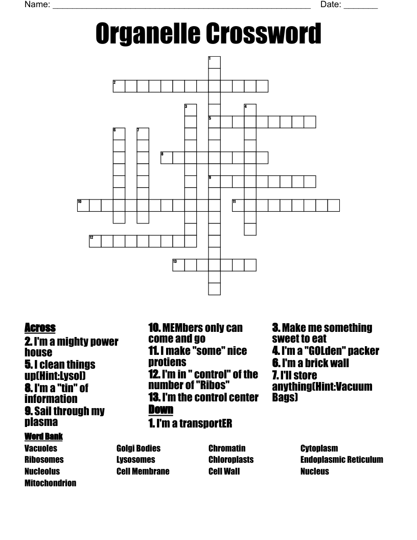 Organelle Crossword