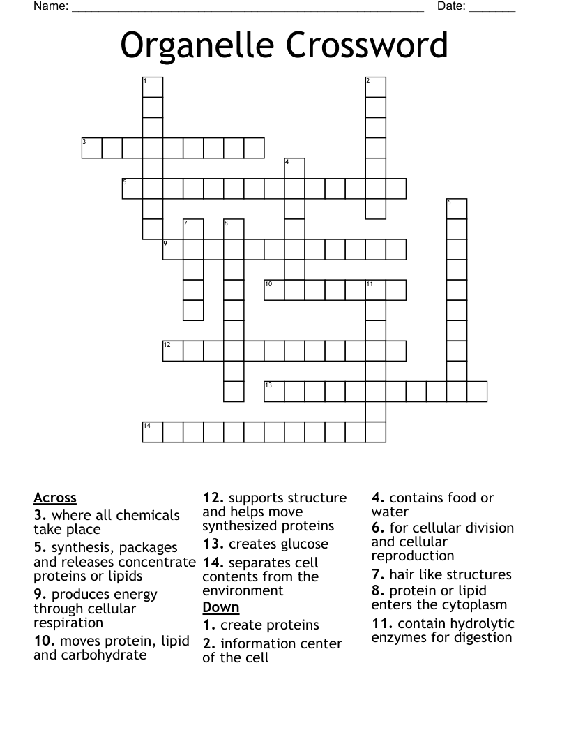 Organelle Crossword