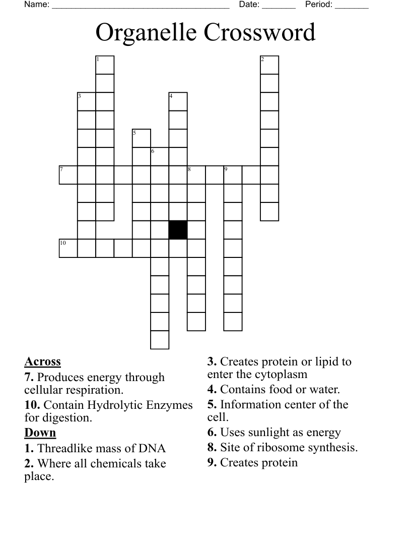 Organelle Crossword
