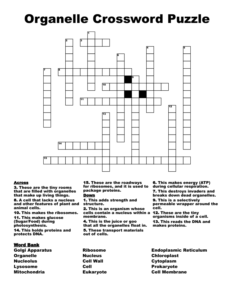 Organelle Crossword Puzzle