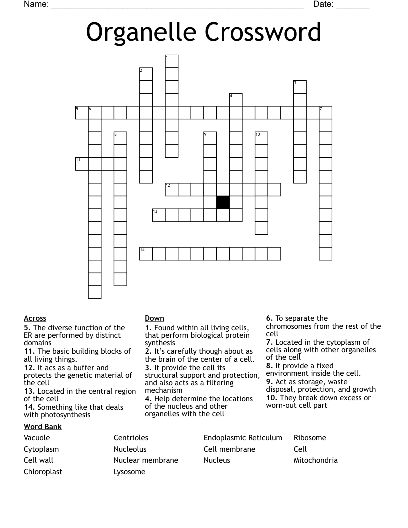 Organelle Crossword 