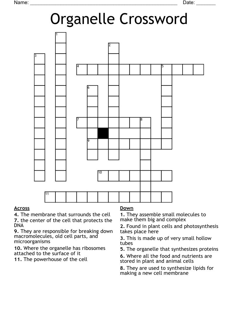Organelle Crossword 