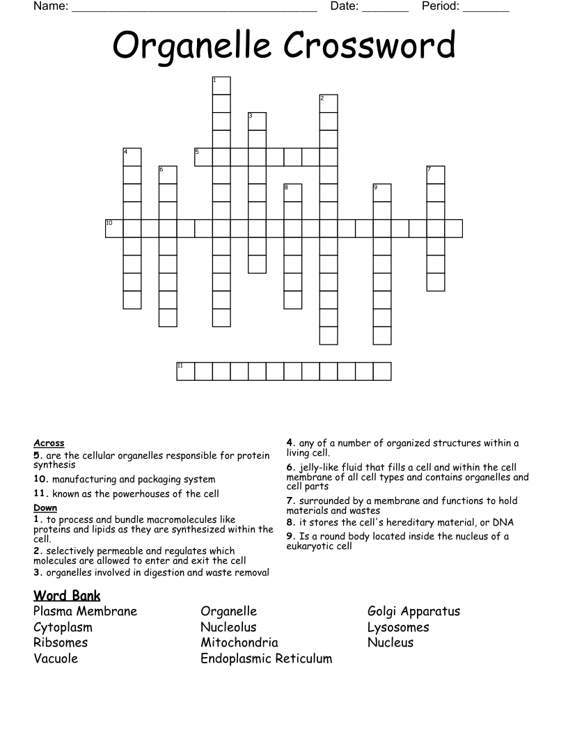 Organelle Crossword 