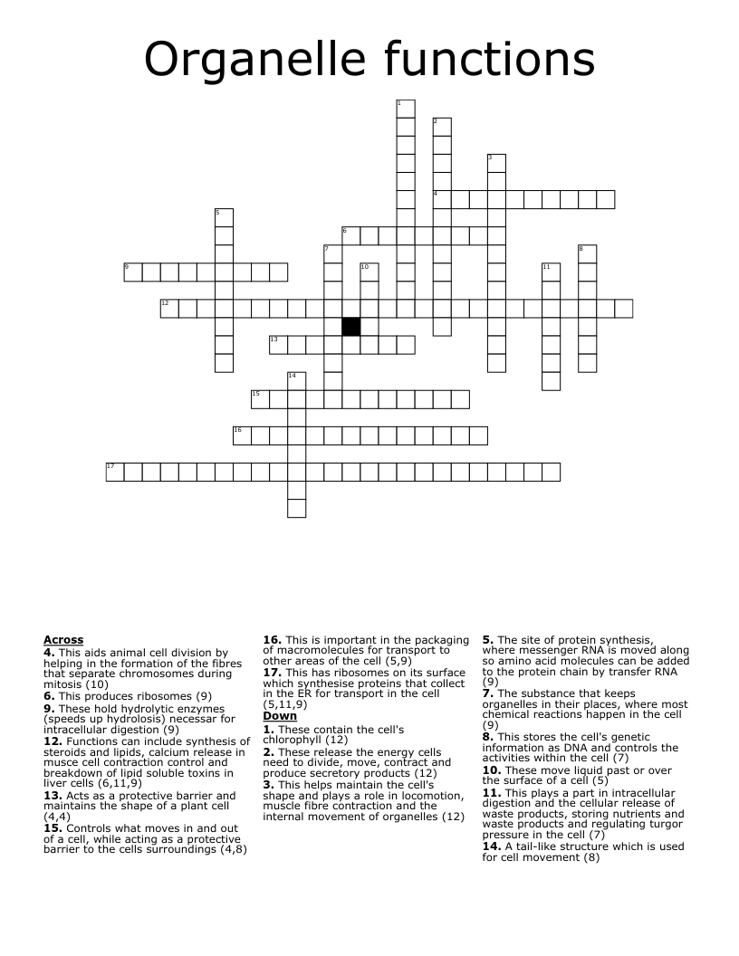 Organelle functions Crossword