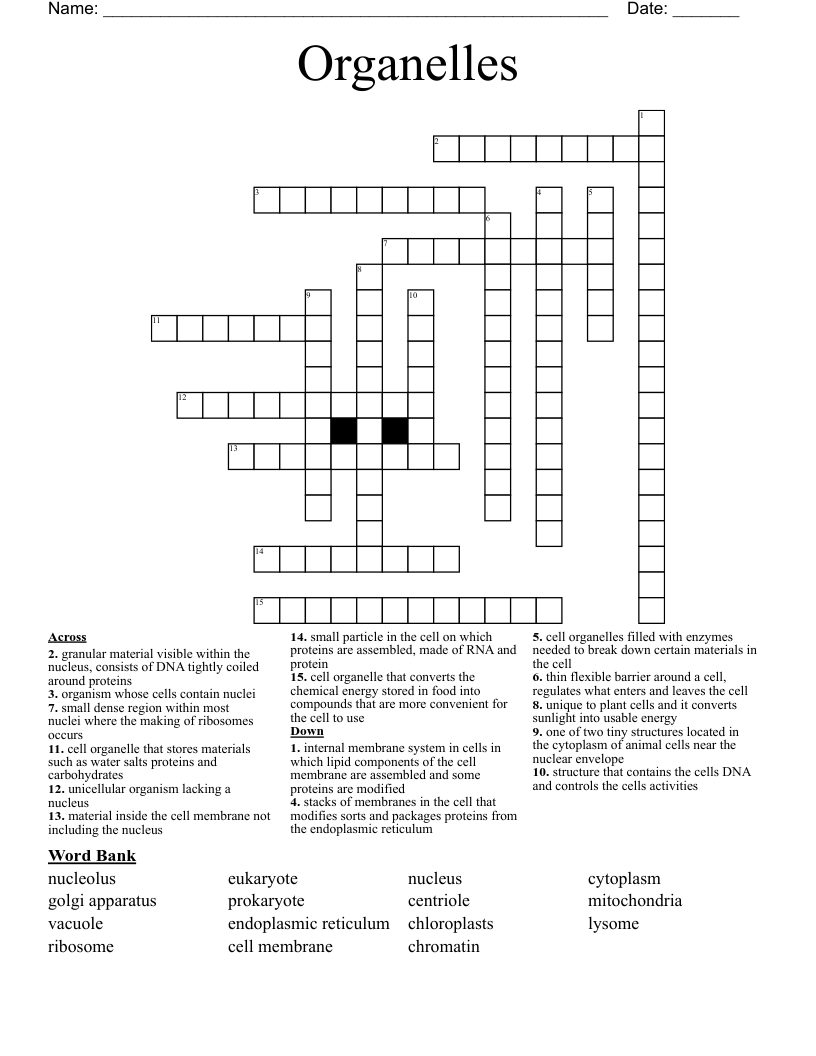 Organelles Crossword
