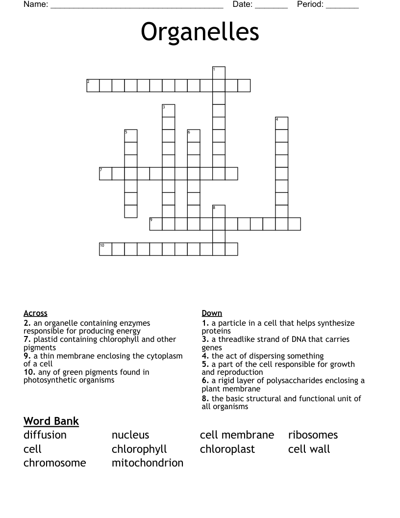 Organelles Crossword