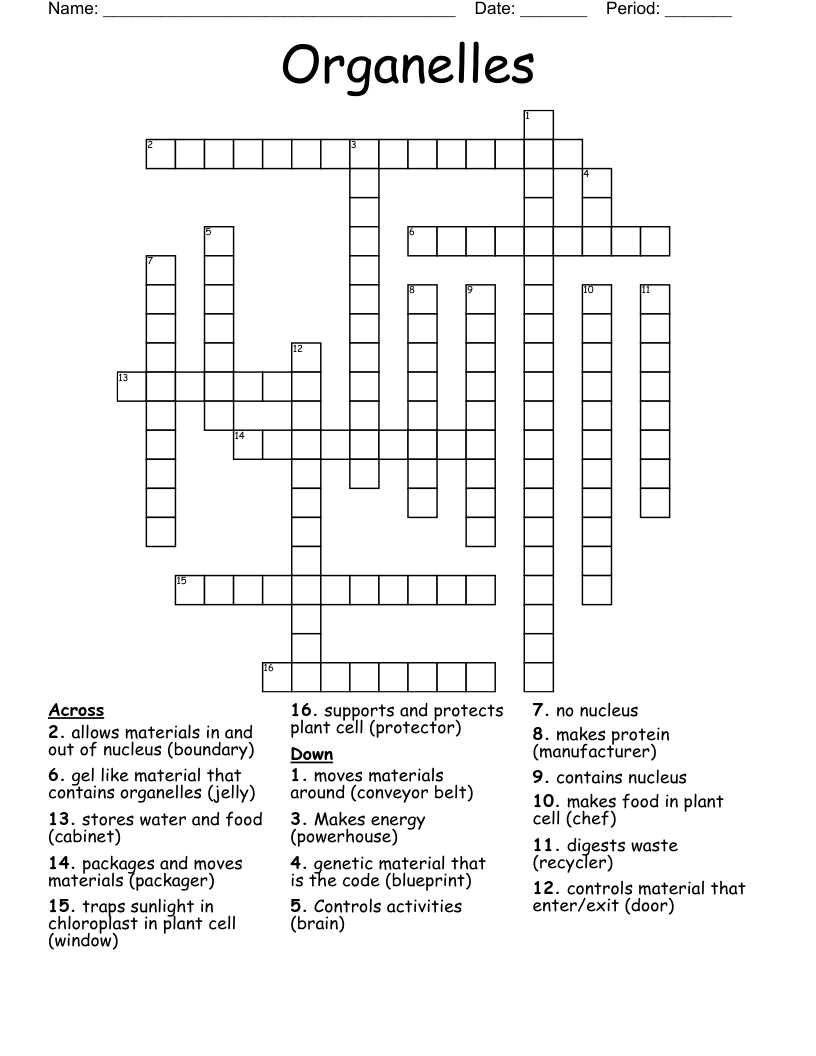 Organelles Crossword