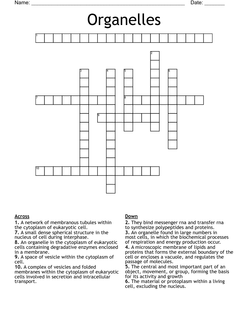 Organelles Crossword