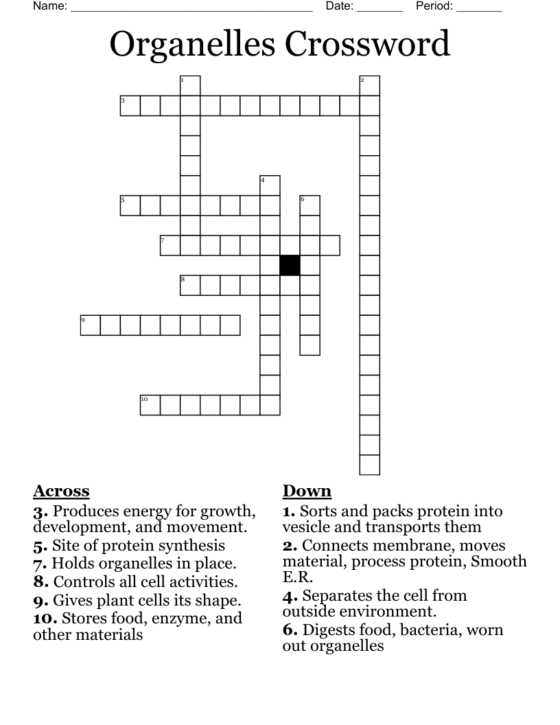 Organelles Crossword