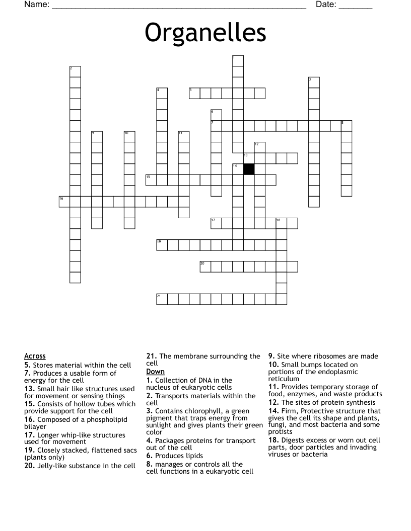 Organelles  Crossword