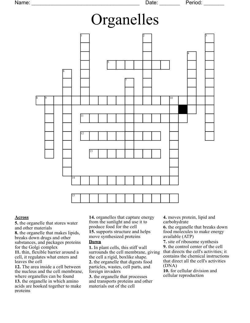 Organelles  Crossword