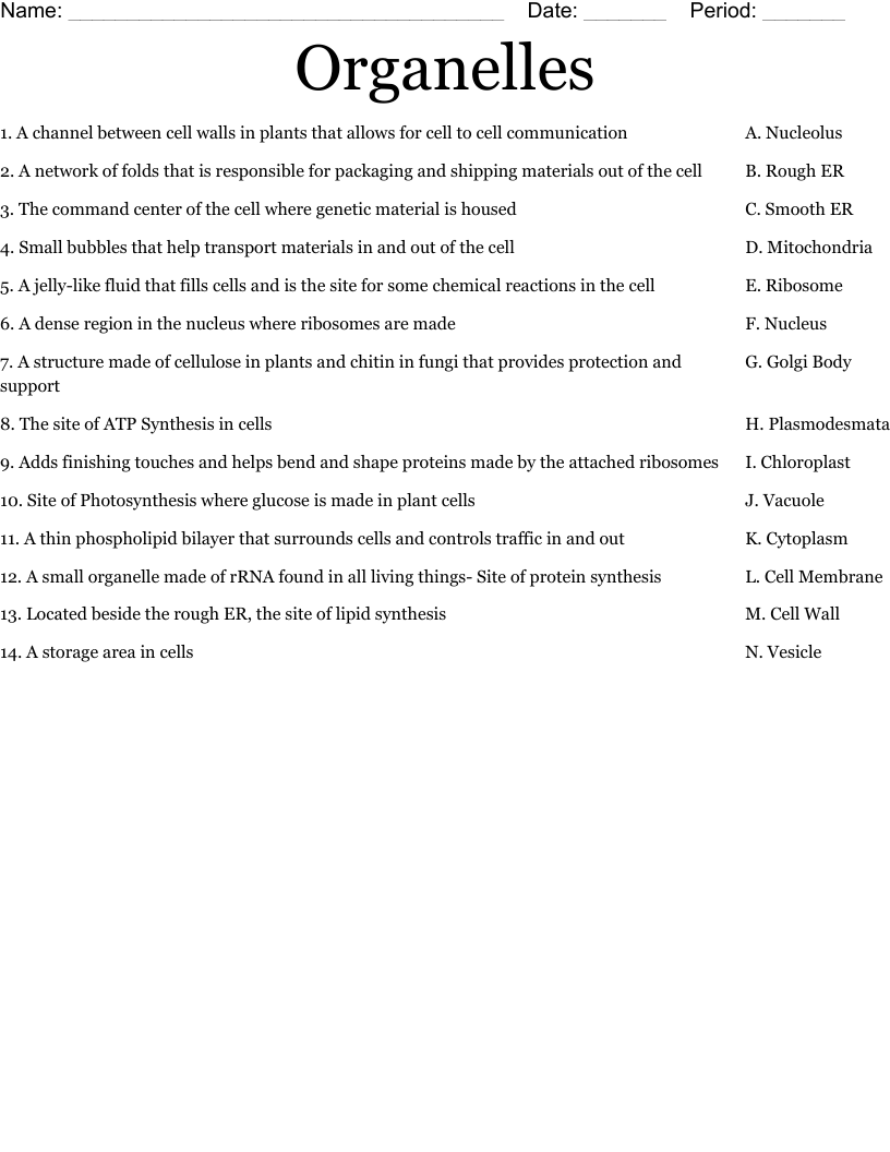 Organelles  Worksheet