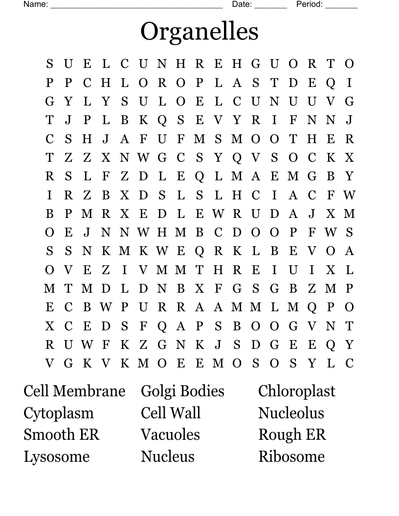 Organelles  Word Search