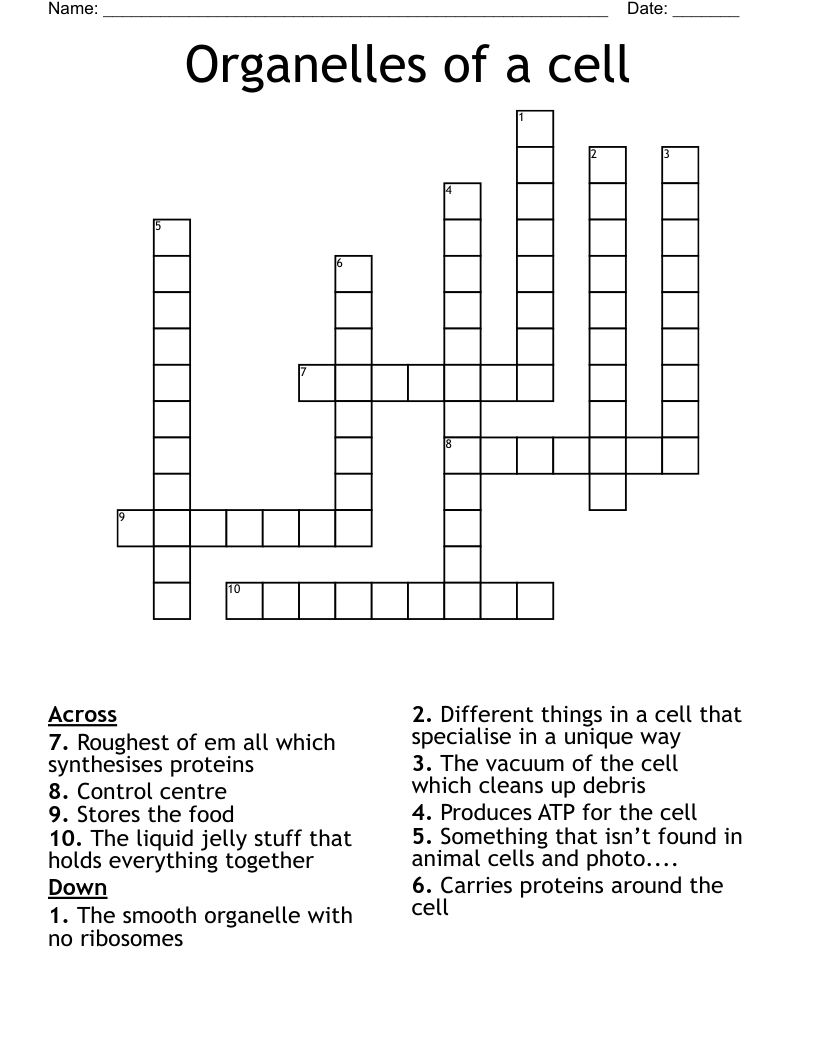 Organelles of a cell Crossword
