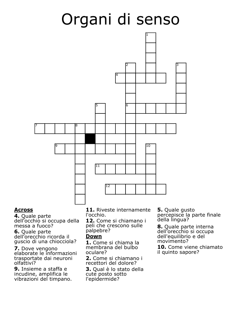 Organi di senso Crossword