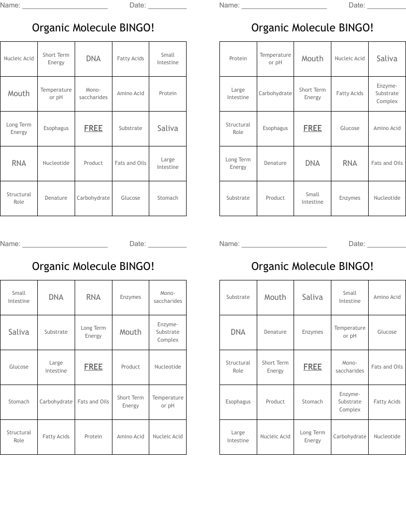Organic Molecule BINGO!