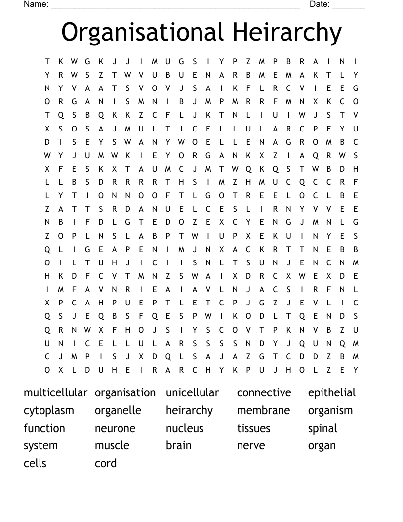 Organisational Heirarchy Word Search