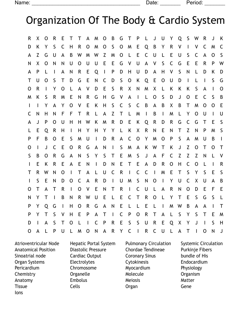 Organization Of The Body & Cardio System Word Search