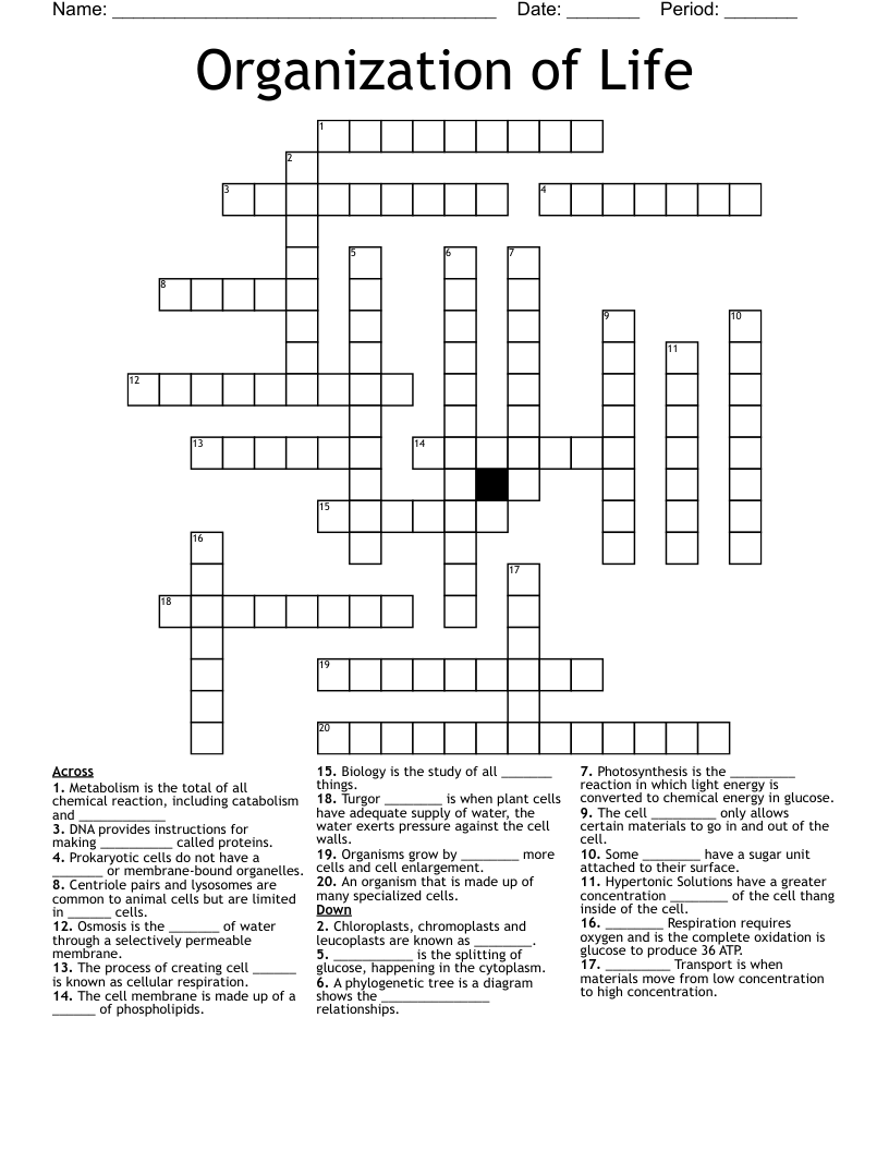 Organization of Life  Crossword