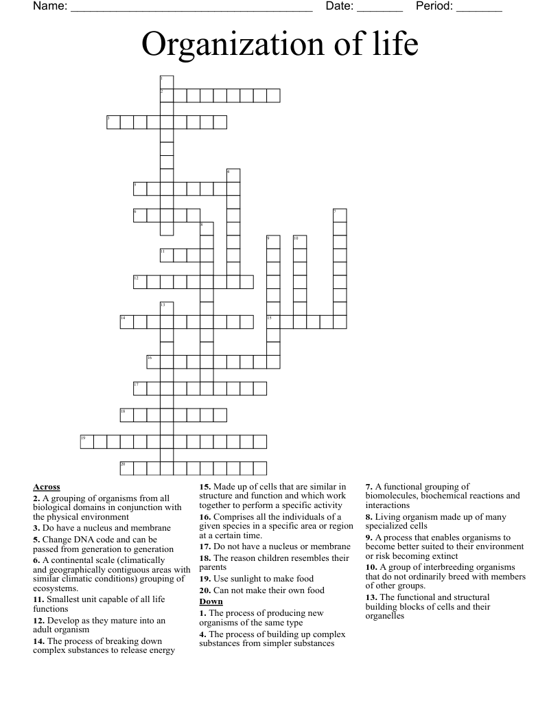 Organization of life Crossword