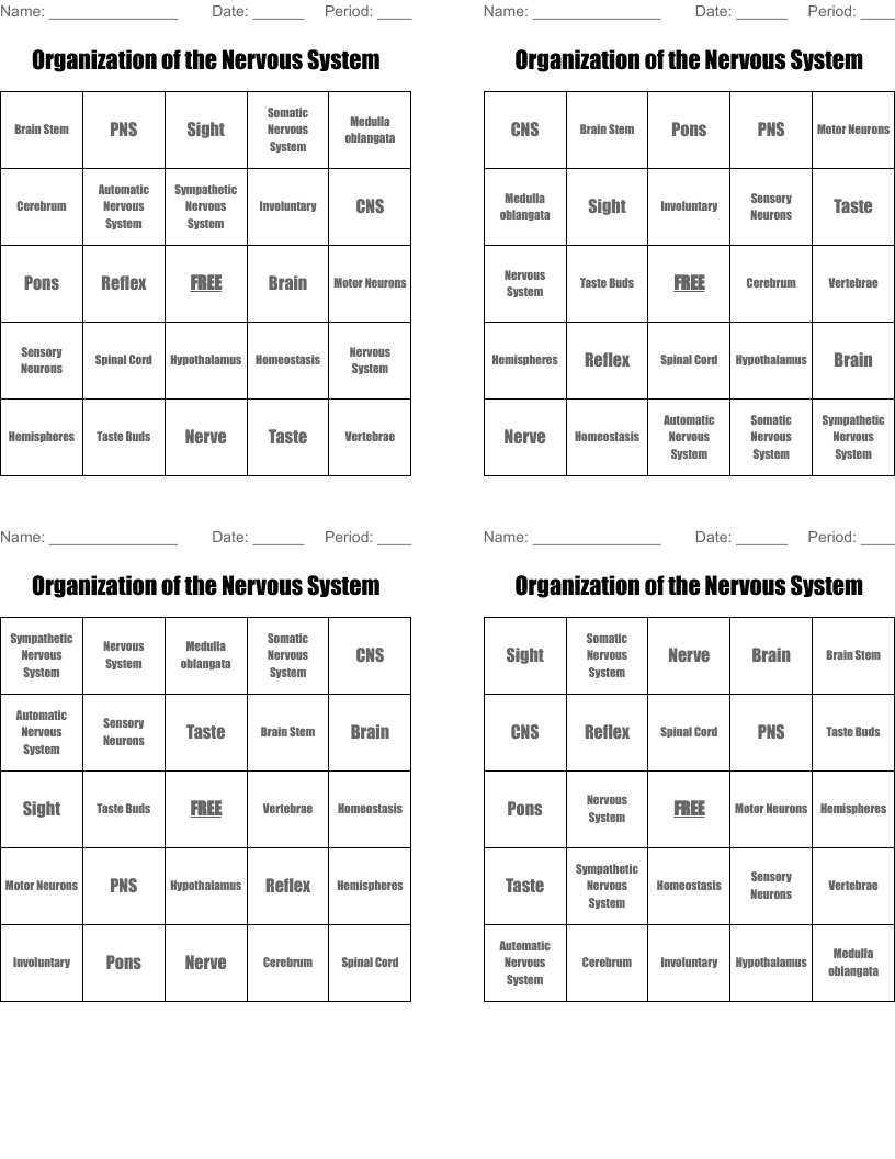 Organization of the Nervous System  Bingo Cards