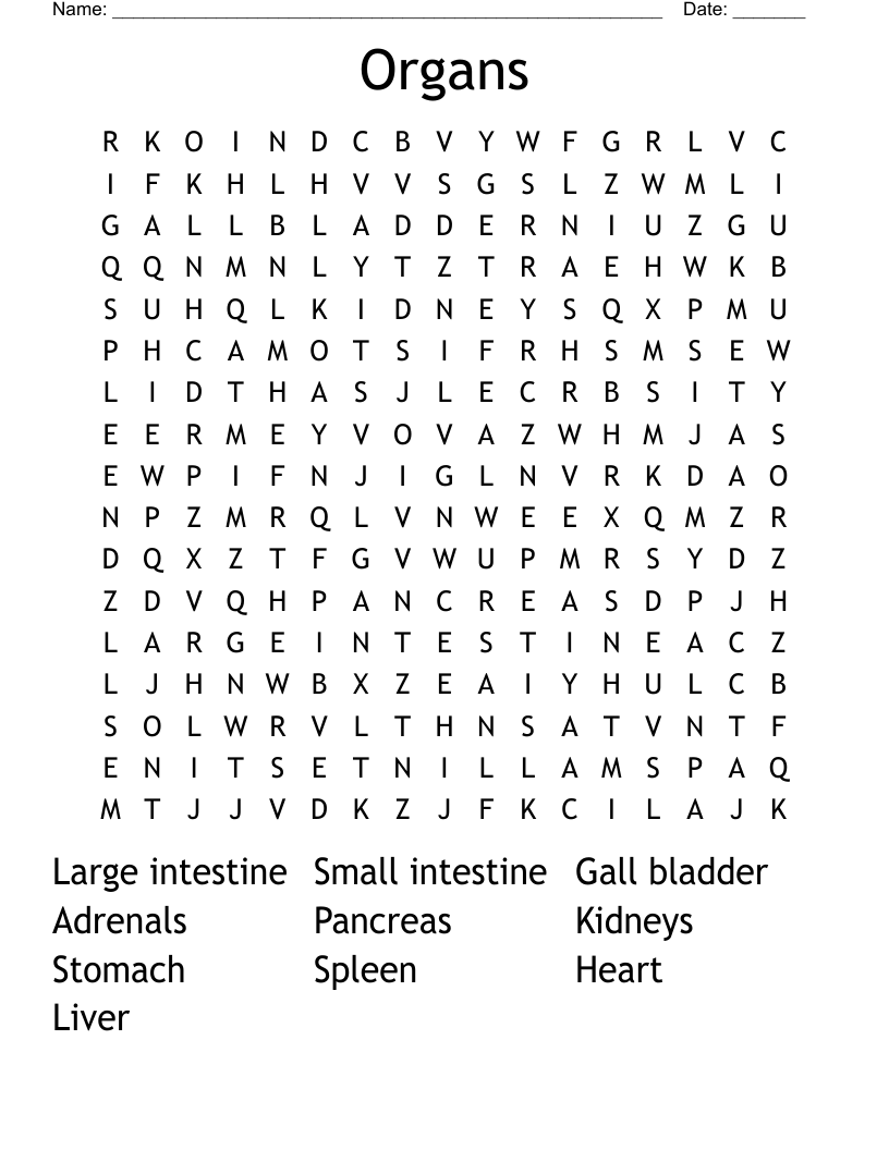 Organs Word Search