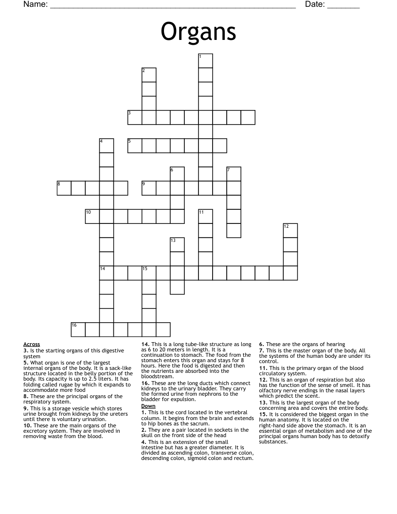 Organs  Crossword