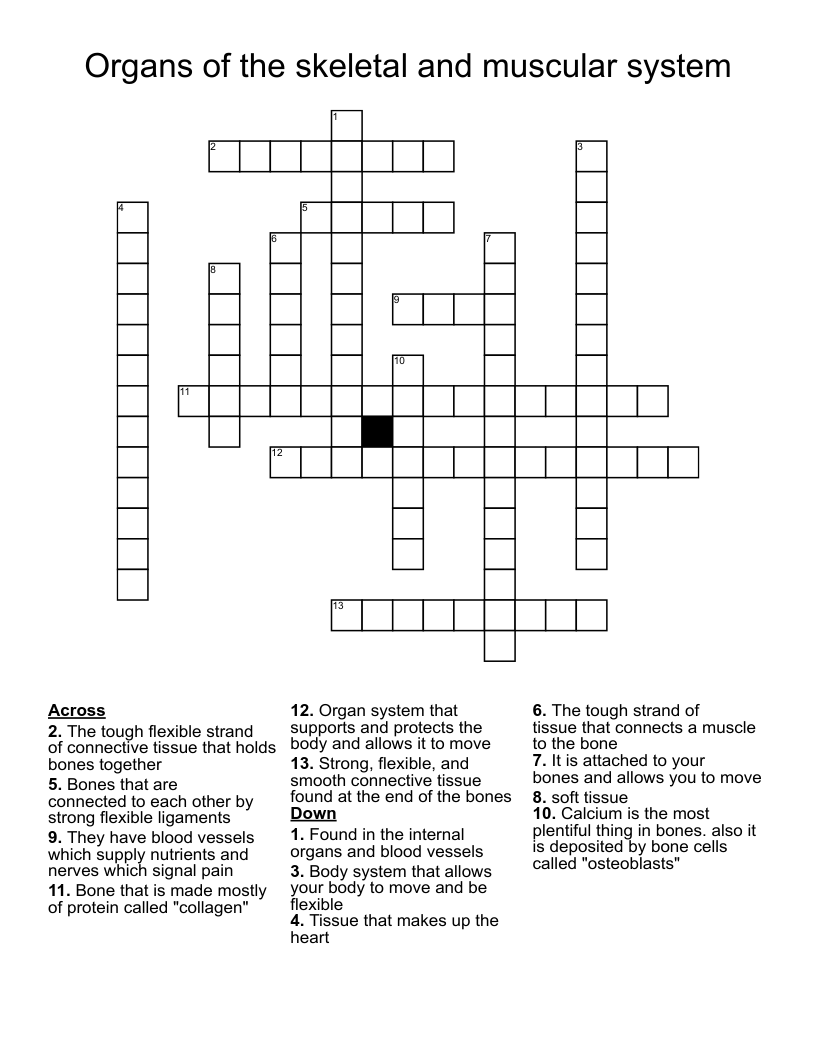 Organs of the skeletal and muscular system Crossword