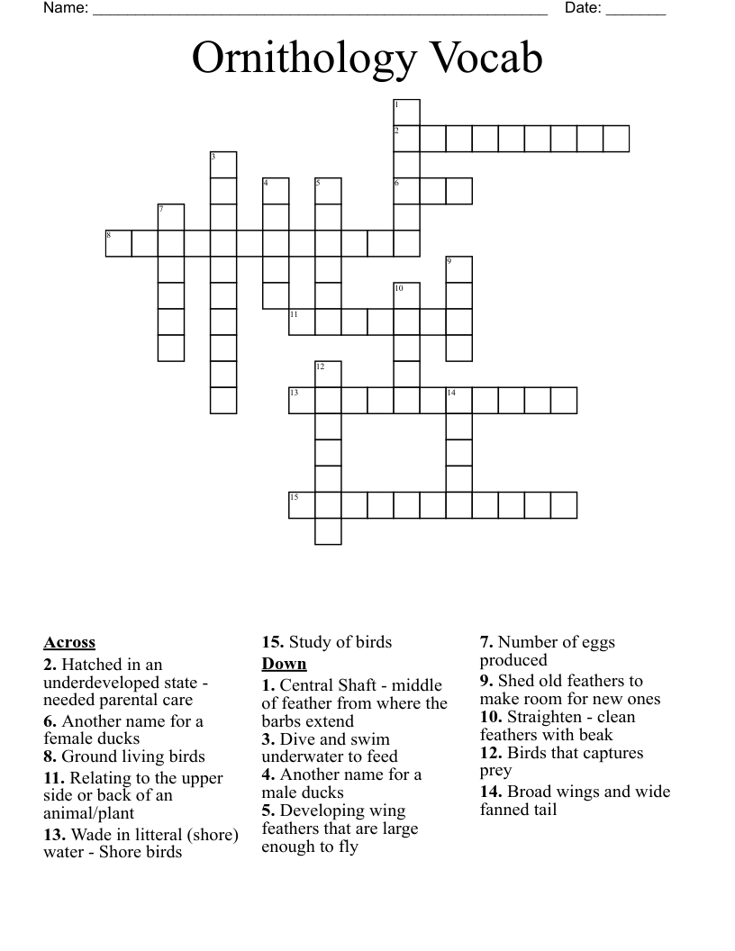 Ornithology Vocab Crossword