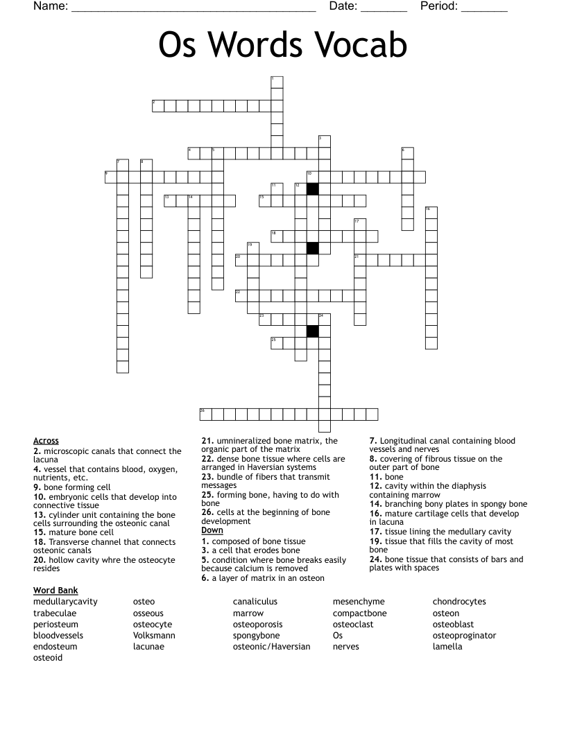 Os Words Vocab Crossword