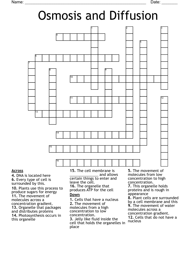 Osmosis and Diffusion Crossword