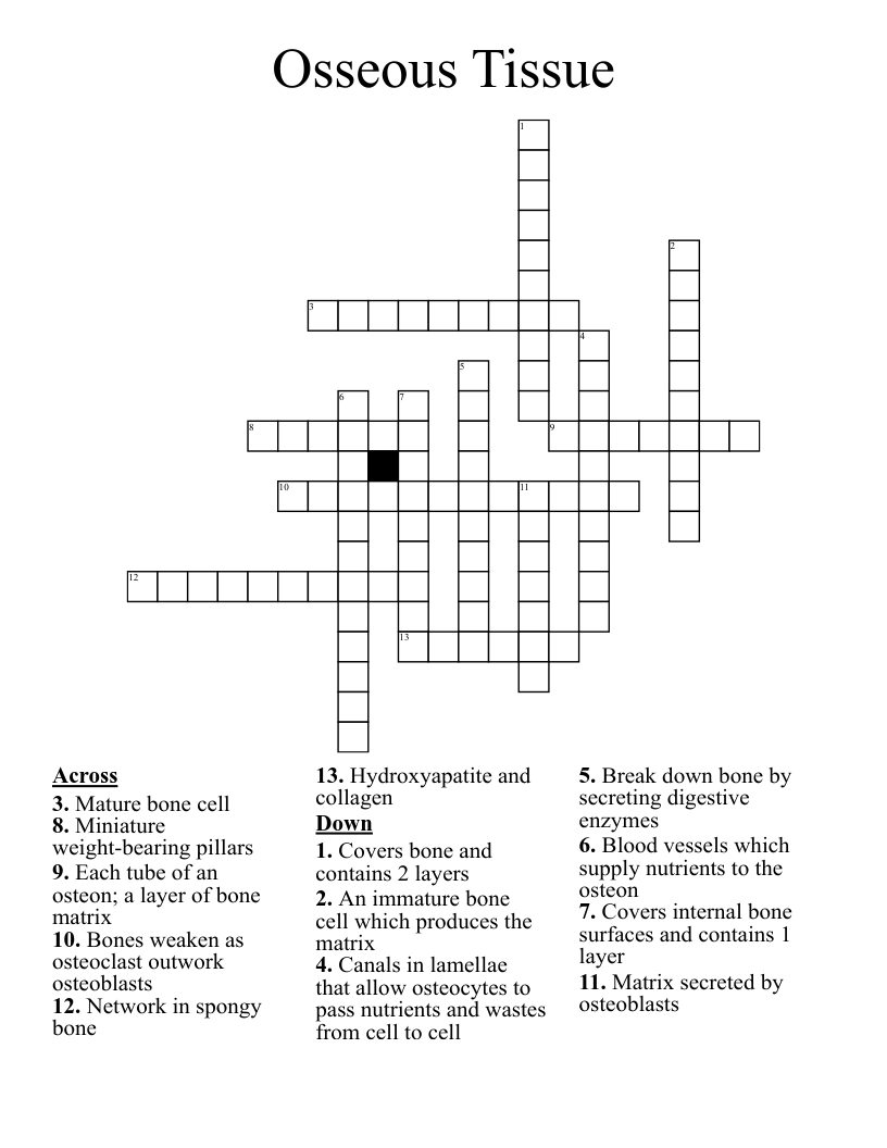 Osseous Tissue Crossword