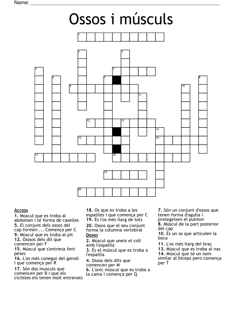 Ossos i músculs Crossword