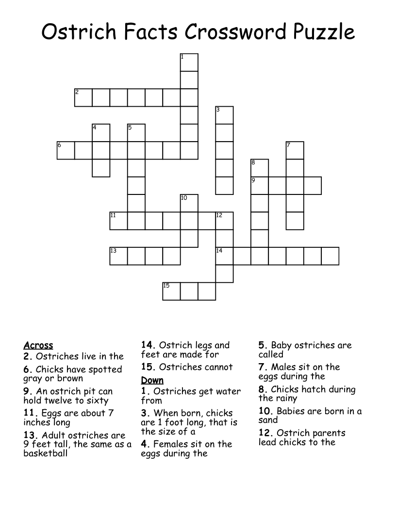 Ostrich Facts Crossword Puzzle