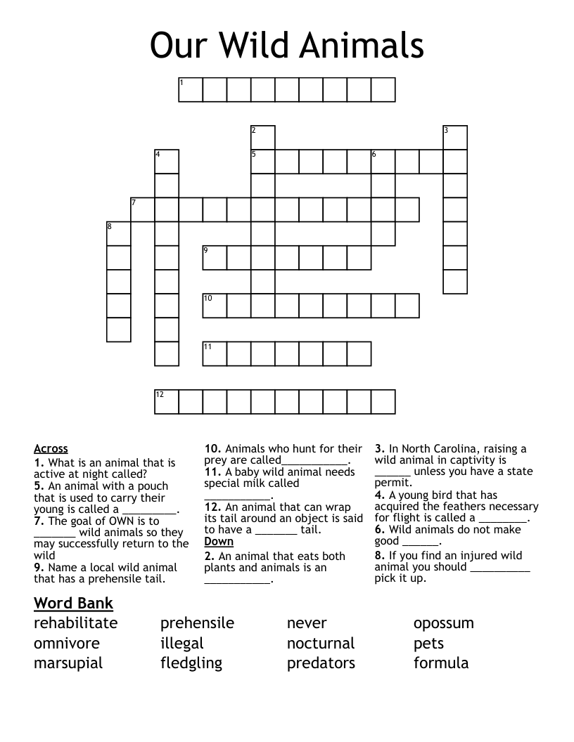 Our Wild Animals Crossword