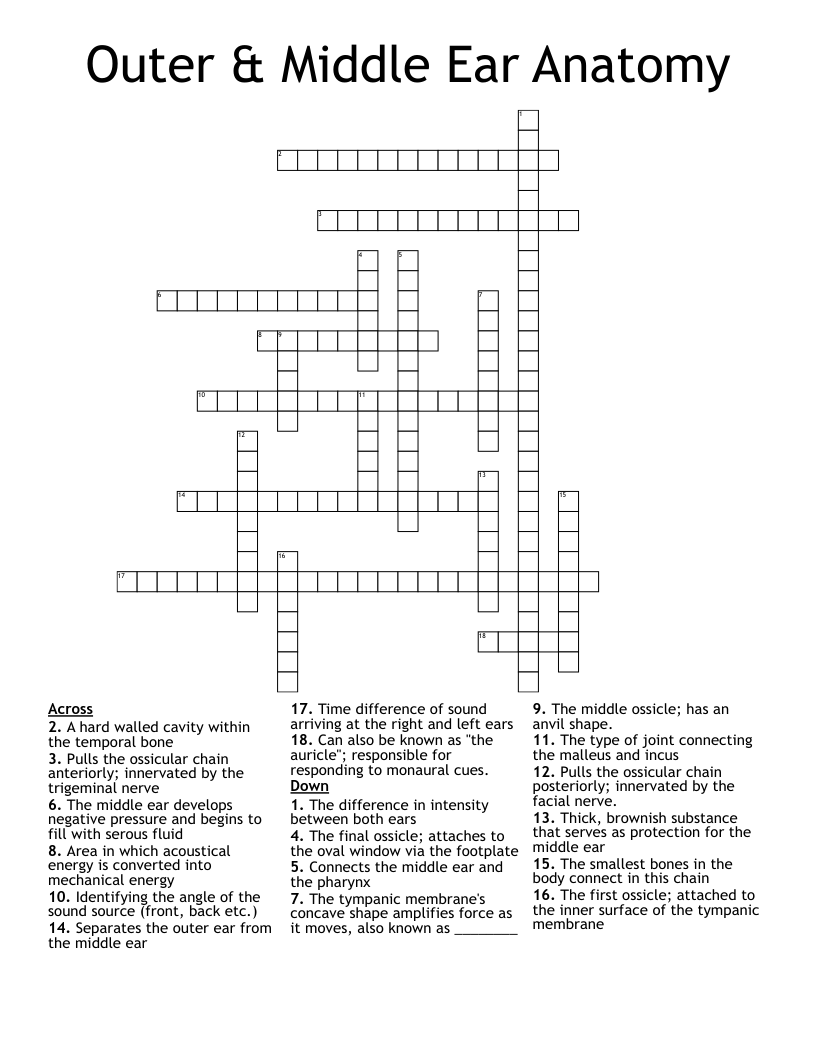 Outer & Middle Ear Anatomy Crossword