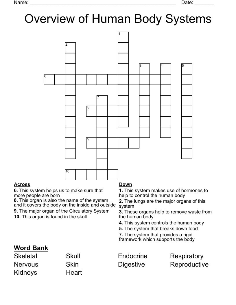 Overview of Human Body Systems Crossword