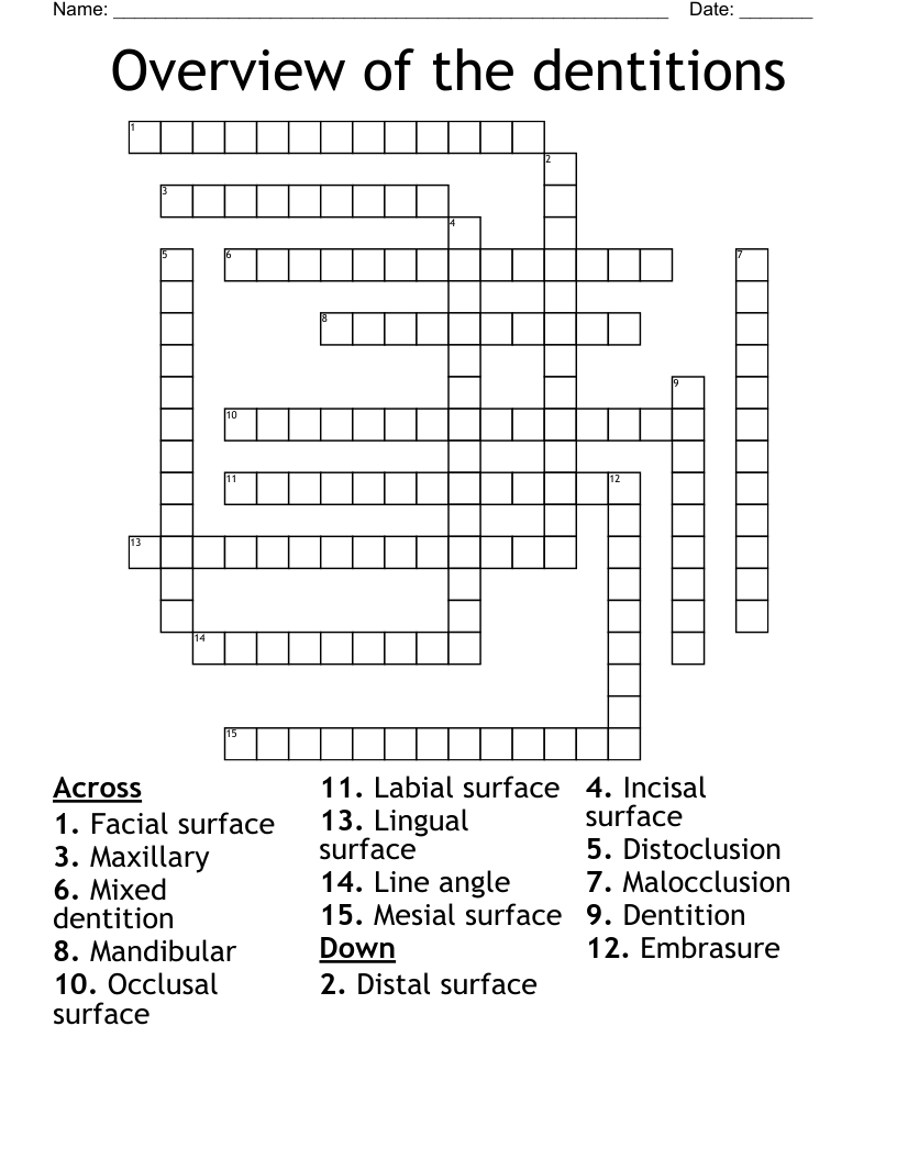 Overview of the dentitions  Crossword