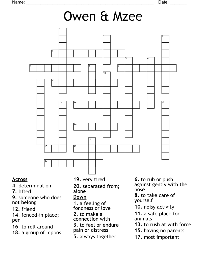 Owen & Mzee Crossword