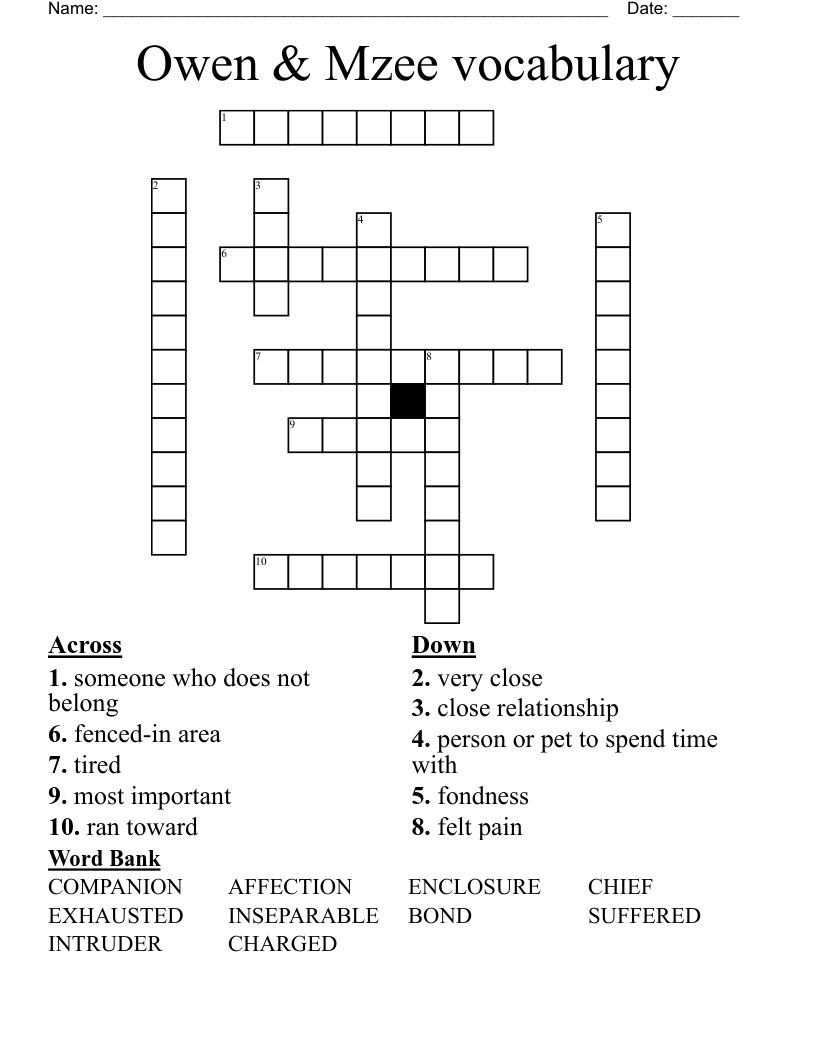 Owen & Mzee vocabulary Crossword