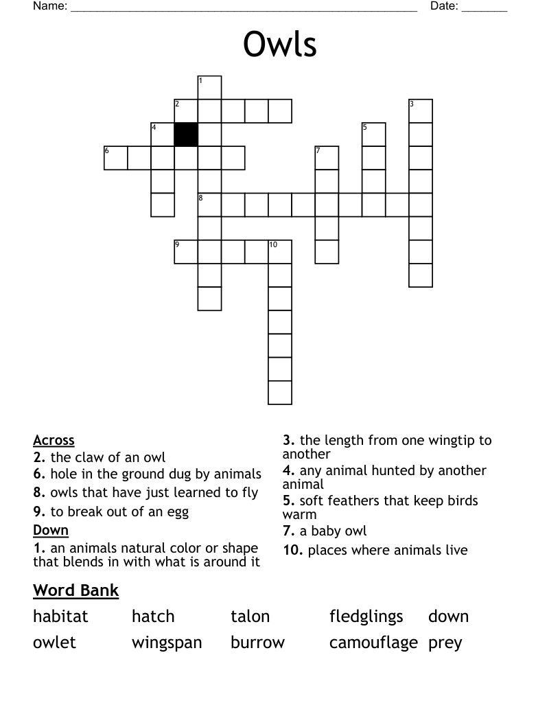 Owls Crossword