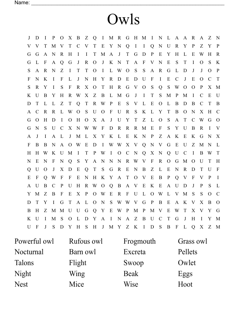 Owls Word Search