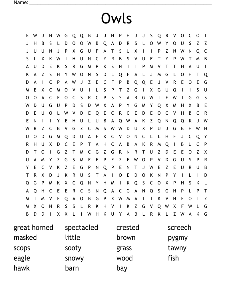 Owls Word Search