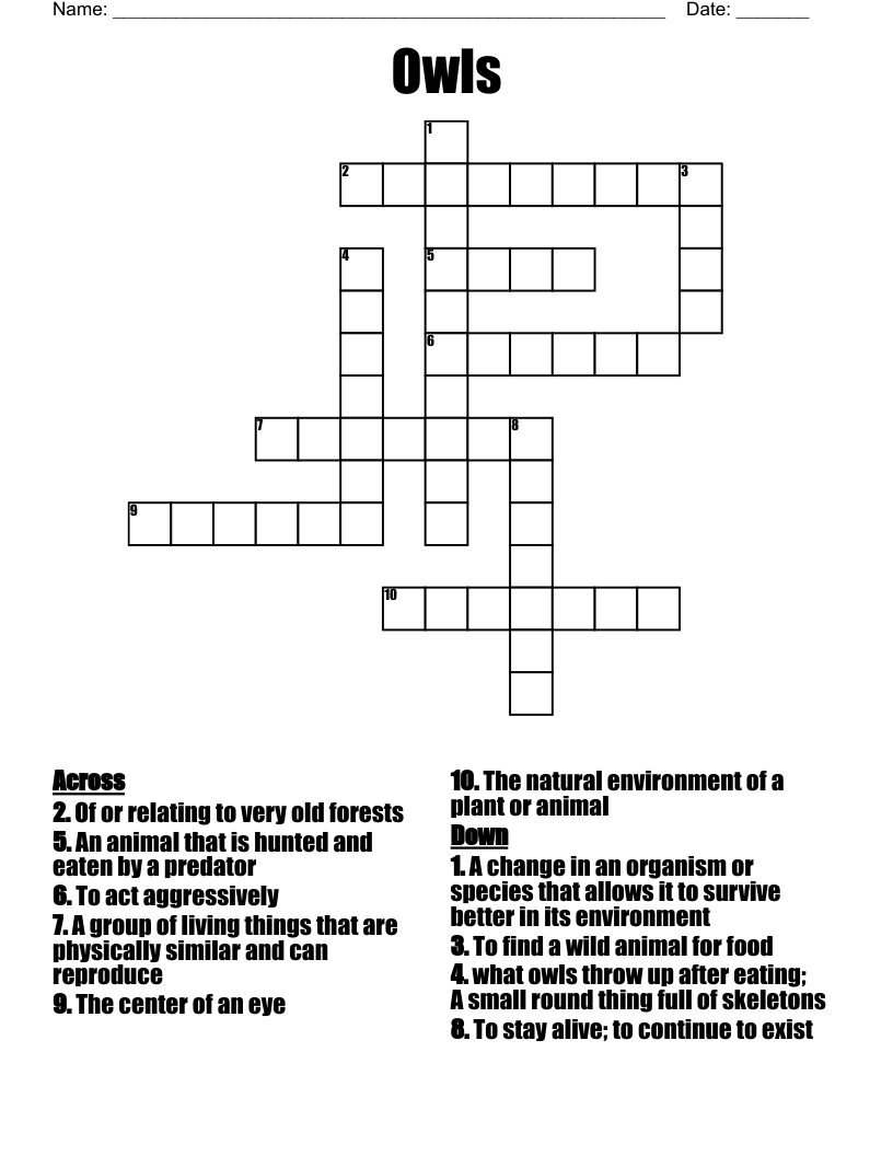 Owls  Crossword